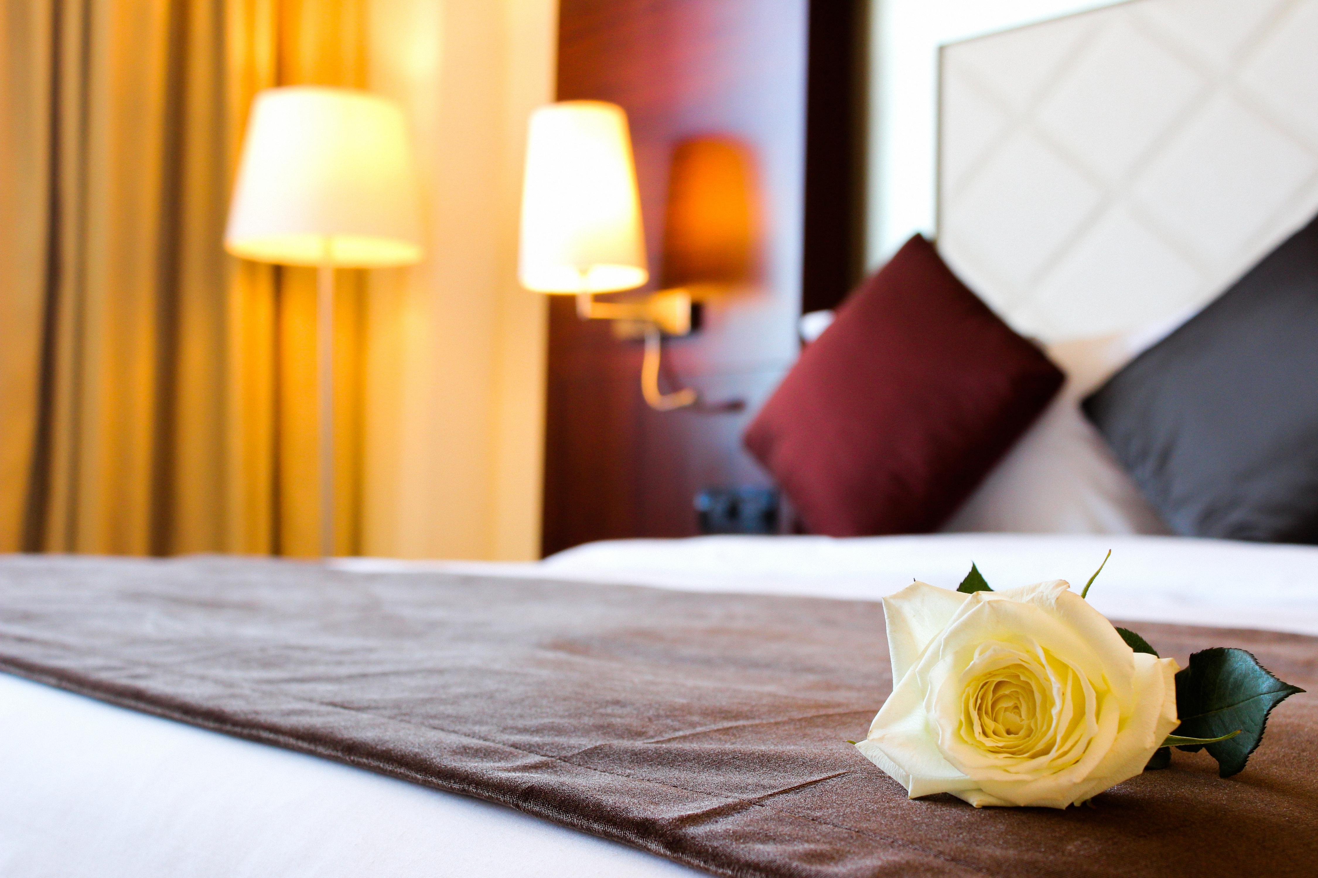 Grand Mogador City Center Casablanca Ngoại thất bức ảnh A rose on a bed